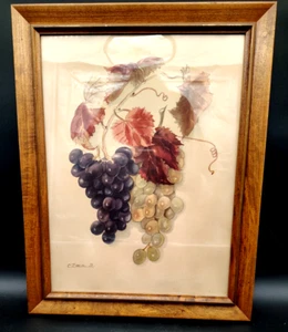 Vintage Framed Botanical Grapes Print Styled F.B. Mark of Quality Fleck Bros NYC - Picture 1 of 9