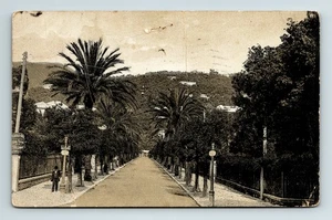 c1924 Cartolina Nervi Viale Vittorio Italia Emanuele Via Palme - Foto 1 di 10