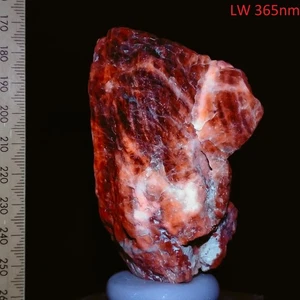 Sodalite & Gonnardite long wave fluorescent mineral specimen Afghanistan 0.21kg - Picture 1 of 8