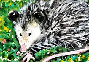 PINTURA ACEO ZARIGÜEYA ORIGINAL Primavera Posum Animal Naturaleza Paisaje ARTE ATC - Imagen 1 de 1
