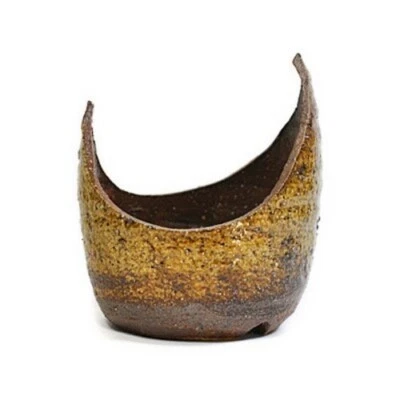 Japanese Bonsai Pot Cactus Plants Botanical Nanban Yellow Glazed Foto 1 de 4