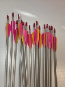 16 Easton 1716 target Arrows - 26.5" inch end Points and Nocks - Picture 1 of 7