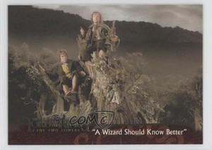 2003 Topps The Lord of Rings Two Towers Update Merry Brandybuck Pippin Took 0f3j