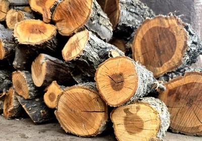 ORCHARD ORGANIC 19+ LBS APRICOT DELUXE SMOKING WOOD Organic Logs 3-7”L 1"-3 1/2"D BBQ Grill Fire