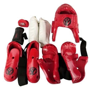 Century Victory Karate Martial Arts Set, Helmet Gloves Boots, ProForce Guards - Picture 1 of 21