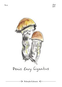 Pe Gigantus Collection card - Picture 1 of 2