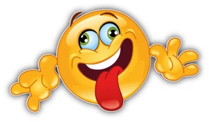 Calcomanía adhesiva para parachoques de coche Smile Stupid ''TALLAS'' - Imagen 1 de 1