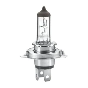 HELLA Spotlight Bulb 8GJ 002 525-281 MK3 FOR Kadett Astra 124 Porter S-Class Car - Picture 1 of 6
