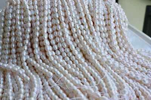 ov1 6-7 mm perlas cultivadas hebra perlas de agua dulce joyería cadena ovalada collar mkn - Imagen 1 de 1