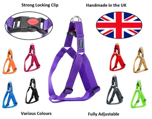 Chaos verstellbares Haustier Hundegeschirr, klein, mittel, groß & XL - Bild 1 von 11