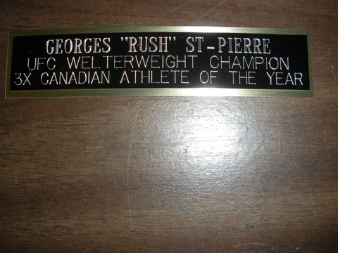 GEORGES ST-PIERRE (UFC) NAMEPLATE FOR SIGNED TRUNKS DISPLAY/PHOTO/PLAQUE Cover