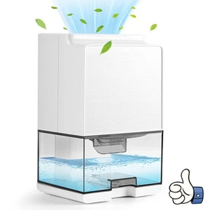 Deumidificatore Casa 1000ML Elettrico Portatile e Ultra Silenzioso Contro Muffa - Foto 1 di 12
