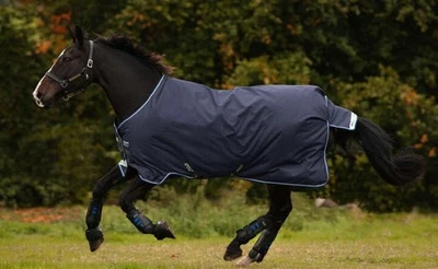 NEU Horseware AMIGO Turnout Bravo 1200 D 100 g 145 cm (6'6) navy/türkis OVP - Bild 1 von 4