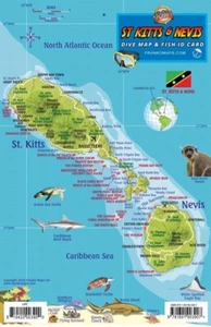 St. Kitts & Nevis Dive Map Reef Creatures Guide Laminated Fish Card Franko Maps - Picture 1 of 2