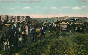 Postkarte Virginia VA Erdbeerpflückerkisten Norfolk geteilt um 1910 - Bild 1 von 2