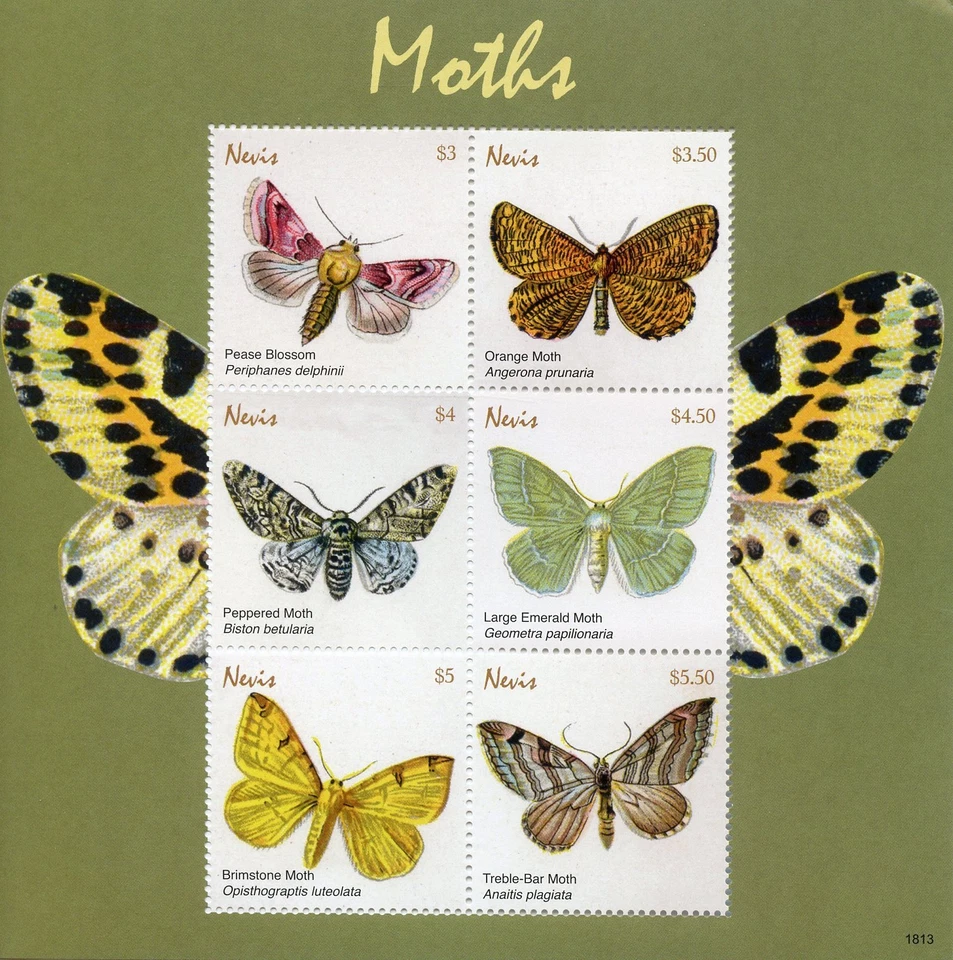Nevis Butterflies Stamps 2018 MNH Moths Pease Blossom Brimstone Moth 6v M/S - Image 1 of 1