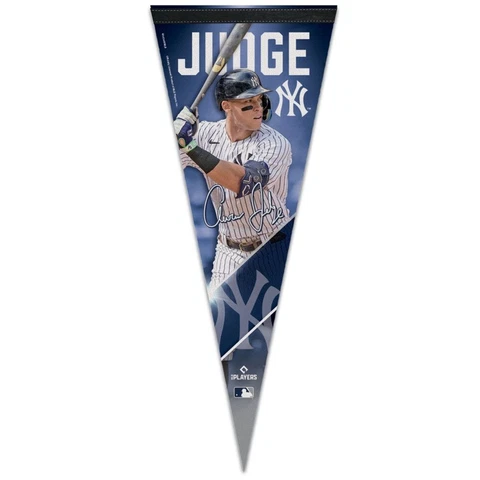 AARON JUDGE NEW YORK YANKEES PREMIUM QUALITY PENNANT 12"X30" MLB LICENSED Cover
