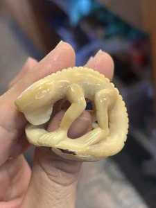 South American Tagua Nut Carving Lizard Gecko - Picture 1 of 4