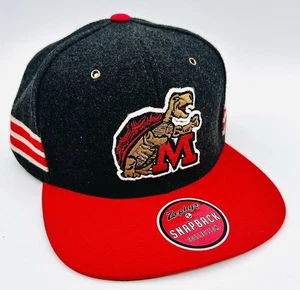 NCAA Maryland Terrapins Zephyr LANA Snapback Sombrero Retro Tortuga M Logo NUEVO NUEVO CON ETIQUETAS - Imagen 1 de 11