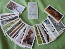 A FULL SET OF HORNIMANS TEA CARD   -- WILD ANIMALS