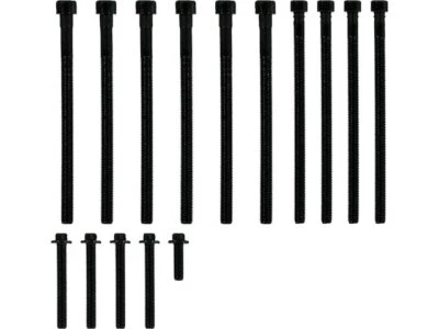 Para 2013-2017 BMW X3 conjunto de parafusos de cabeça Victor Reinz 63197SGFP 2014 2015 2016 - Imagem 1 de 2