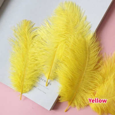 10 PIEZAS Plumas de Avestruz de Colores Plumas Hágalo Usted Mismo Hacer Joyas Boda Fiesta Decoración Foto 1 de 4