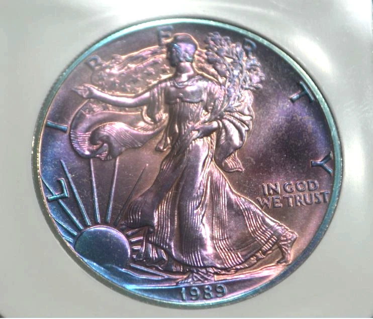 1989 American Eagle MS 70 Graded Silver Bullion Coins for sale | eBay