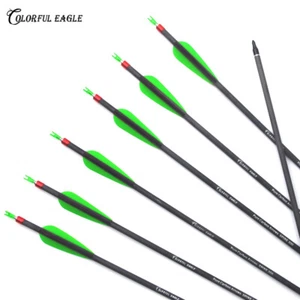 Flechas de carbono puro 28" 30" 31" caza SP300 400 tiro con arco para arco compuesto recurvo - Imagen 1 de 9