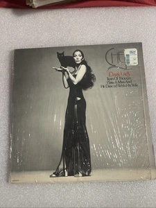 Cher Dark Lady 1974 Vintage Vinyl LP MCA Schallplatten - Bild 1 von 2