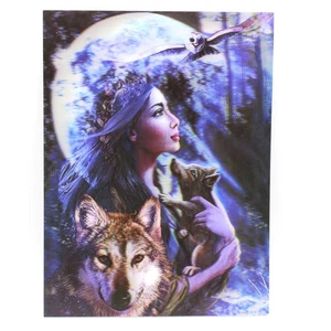 Póster lenticular 3D niña nativa americana lobos y búho impresión de 12 x 16 pulgadas - Imagen 1 de 1