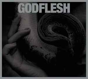 Godflesh PURGE +Bonus Disc Japan CD - Picture 1 of 2
