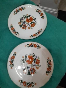 Pair Of Dolphin Fine China By Olympus Made In Japan lunch Plates With Cup Circle - Picture 1 of 7