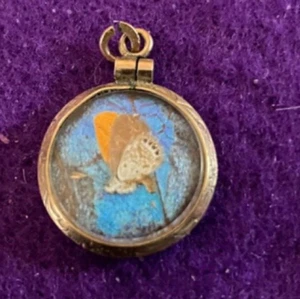 Antique Victorian Butterfly Wing Double sided Locket Gold Filled Pendant - Picture 1 of 4