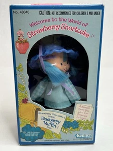 Vintage 1980 Strawberry Shortcake Doll - Blueberry Muffin Kenner No. 43040 Nice - Picture 1 of 7