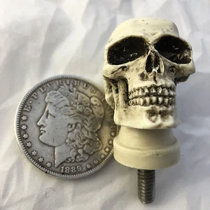 Custom Made in USA 1/4x20 Skull Bolt Skeleton Hearse Hot Rat Street Rod 29T-B - Picture 1 of 8