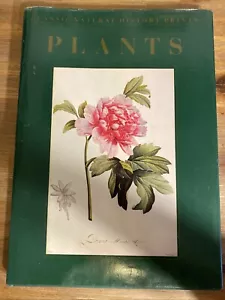 Eve, Norman Robson - Plants, Classic Natural History prints 1990 large book Art - Bild 1 von 9