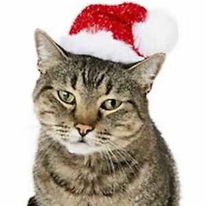Simply Puffy Glitter Santa Holiday Tinsel Hat Pom Christmas Cat Or Ferret Pet XS