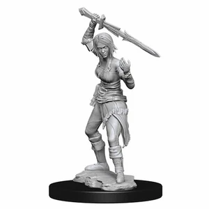Magic the Gathering Unpainted Miniatures: (W2) Nahiri - Picture 1 of 1