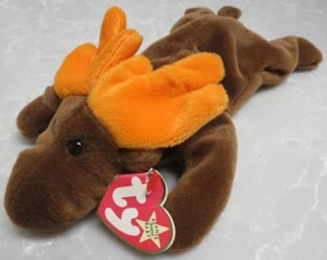 1993 TY Beanie Baby Peluche - Chocolate the Moose - Pellet PE - Foto 1 di 12