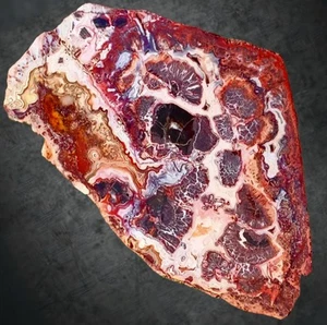 1lb5oz Mexican Crazy Lace Agate 605g Slab Natural Polished Crystal Gemstone - Picture 1 of 6