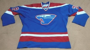 Vintage Spring Lake Park Panthers High School Minnesota Hockey Trikot Gr. XL 38 - Bild 1 von 8