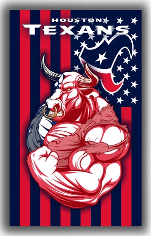 Houston Texans Football Team Mascot US Flag 90x150cm 3x5ft Fan Best Banner Cover