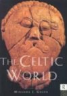 The Celtic World (Routledge Worlds), , 9780415146272