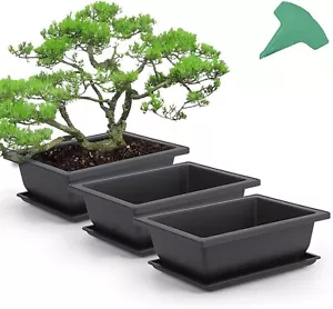 1-6pcs Bonsai Training Pots Plastic Bonsai Plants Growing Pot with Plant Labels - Picture 1 of 8