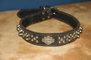 Harley Davidson Spike Dog Collar and Wind Breaker - Picture 1 of 3