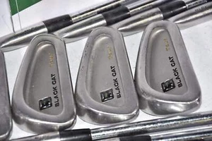 Lynx Black Cat 1995 Irons / 2-PW / Regular Flex Dynamic Gold Shafts - Picture 1 of 7