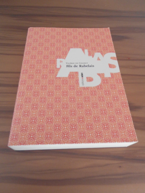 Fils de Rabelais Valérie de Changy Renaissance humanisme roman biographique - Photo 1/1