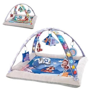 Chipolino Spielbogen, Krabbeldecke, rechteckig, Musik, Licht, Tiere, ab Geburt - Bild 1 von 1