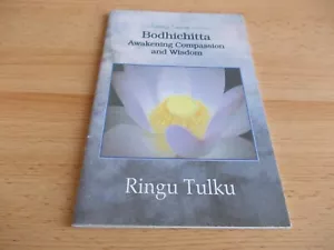 Bodhichitta ,Ringu Tulku, Lazy Lama paperback 2001 - Foto 1 di 4