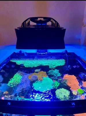 UNDISCLOSED Ecotech XR15 Shade